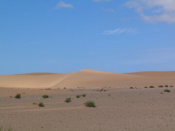 Dunes in the Western Sahara