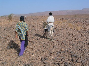 MBarak riding the donkey, Ali Baba, over rocky hammada, with Madani following