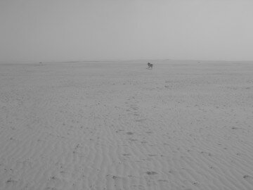 sandstorm with Khabuz