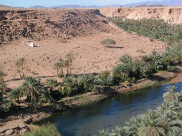 camped by a palmeraie, Northern Morocco