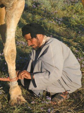 MBarak struggling with emotion as he hobbles Chamlette for the last time.