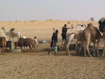 Typical Tuareg well, on the way to Tomboctou inside the Malian border