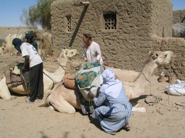 Packing up in Tomboctou